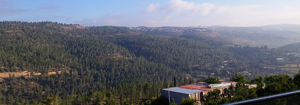 Ein Kerem Hotel Ιερουσαλήμ Εξωτερικό φωτογραφία
