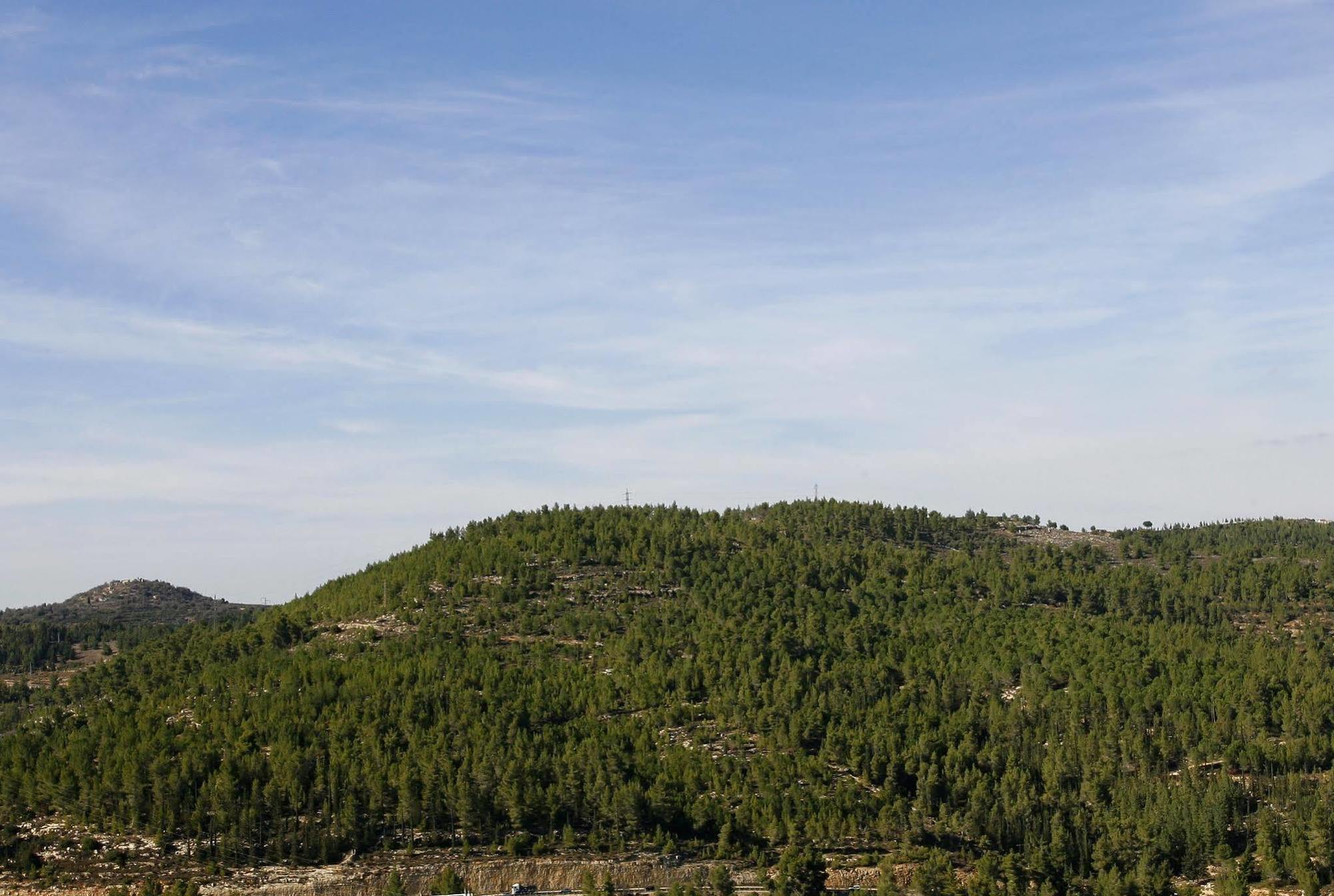 Ein Kerem Hotel Ιερουσαλήμ Εξωτερικό φωτογραφία